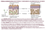 Derma-E * 90 caps - Imagen 3