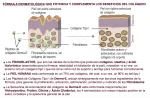 Derma-E * 90 caps - Imagen 3