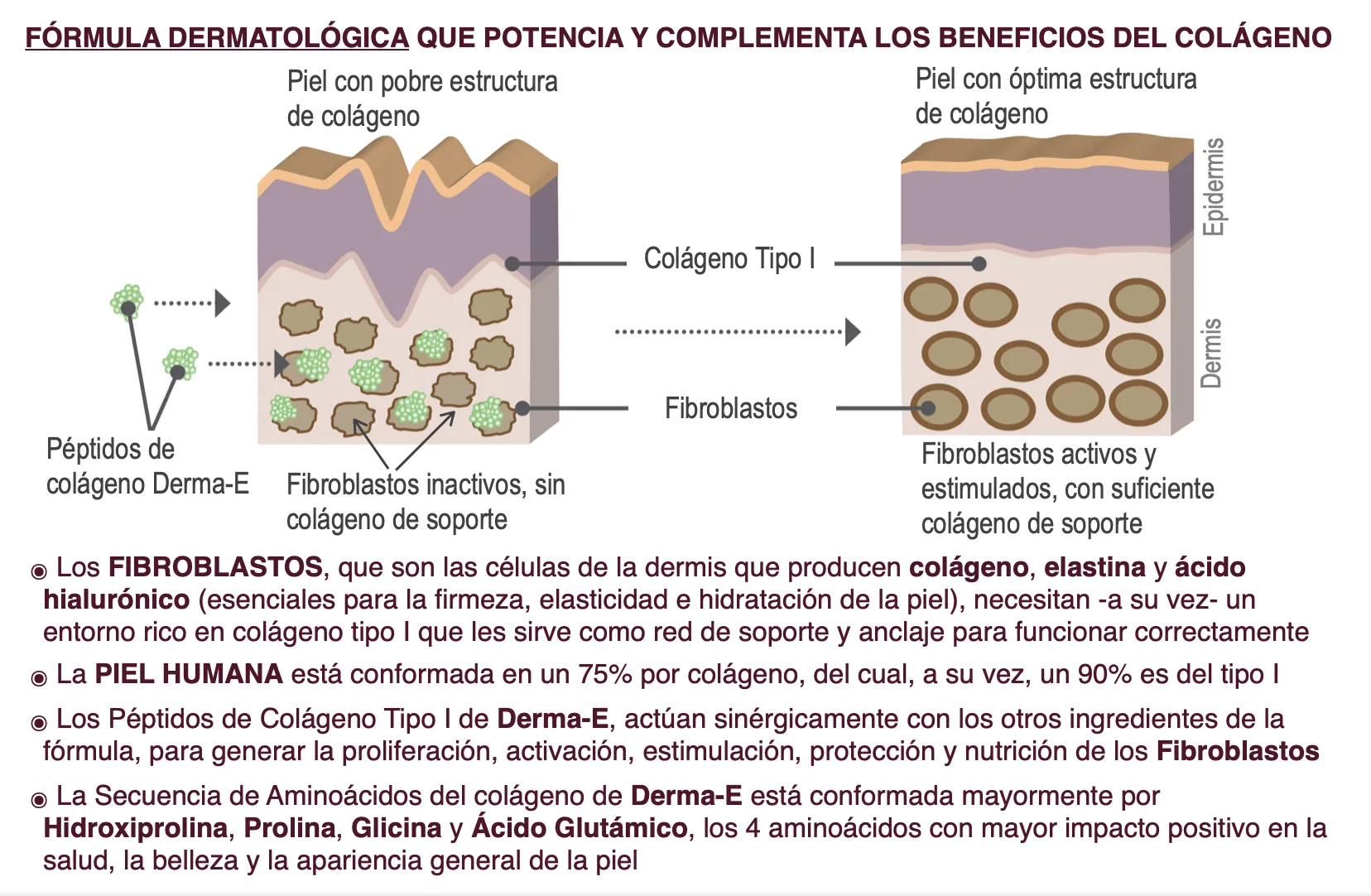 Derma-E * 90 caps - Imagen 3