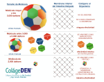 ColageDEN * 90 caps - Imagen 6