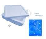 Cooler Térmico + Gelpack Cadena De Frio Medicinas