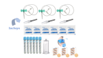 Kit Para Plasma Rico En Plaquetas PRP - Imagen 3